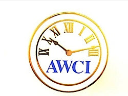 AWCI Member Pin